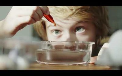 Avaliação e Ética – Rede Piedade de Educação