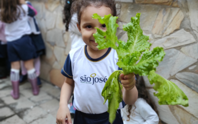 Plantando conhecimentos e colhendo aprendizados!