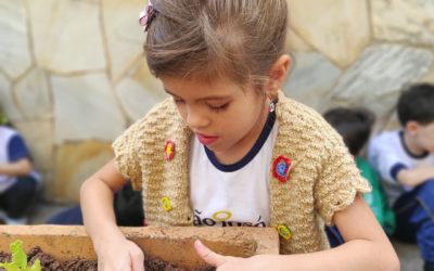 Plantando conhecimentos e adquirindo aprendizados!