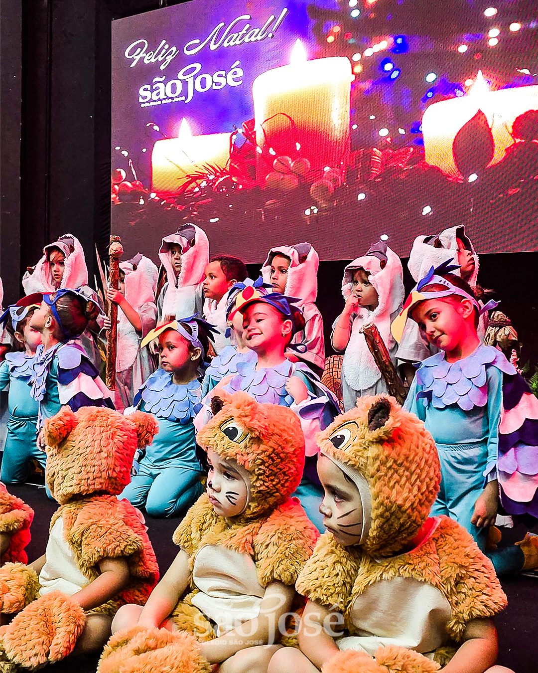 Musical – O Rei Leão